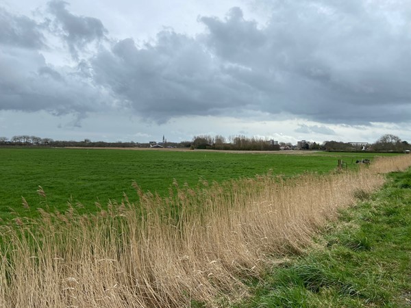 Medium property photo - Schotelweg, 4333 GS Middelburg